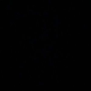 Meet your Posher, Lillian